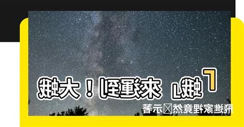 蛾 飛進家裡
